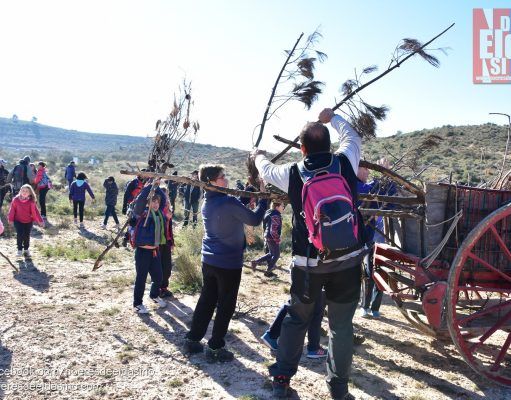 Recogida de leña para la hoguera de San Antón, el patrón de los Moros y Cristianos de Elda
