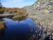 Medio Ambiente organiza una actividad en el pantano de Elda