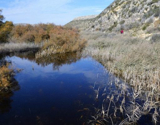 Medio Ambiente organiza una actividad en el pantano de Elda