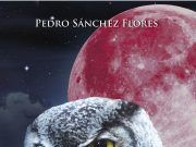 Escuela de ángeles, una novela de misterio, del eldense Pedro Sánchez Flores