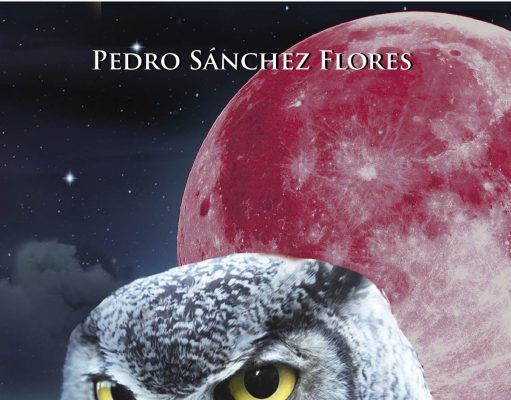 Escuela de ángeles, una novela de misterio, del eldense Pedro Sánchez Flores