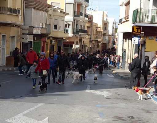 Aplazada la Romería de San Antón de Petrer hasta el próximo domingo 29 de enero