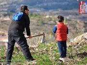 Celebración del día del Árbol en Elda, reforestando Bolón