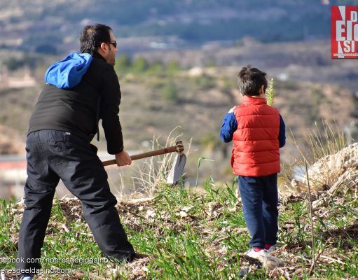 Celebración del día del Árbol en Elda, reforestando Bolón
