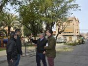 El Ayuntamiento contrata por primera vez a una empresa para que haga una poda exhaustiva