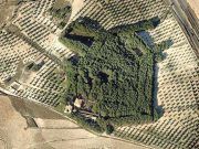 Marcha reivindicativa para declarar BIC (Bien de Interés Cultural) El Poblet