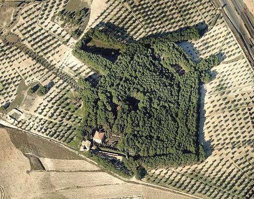 Marcha reivindicativa para declarar BIC (Bien de Interés Cultural) El Poblet