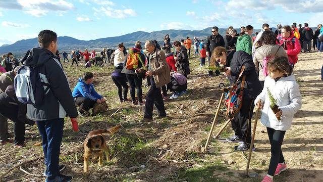 Día del árbol Elda 2017