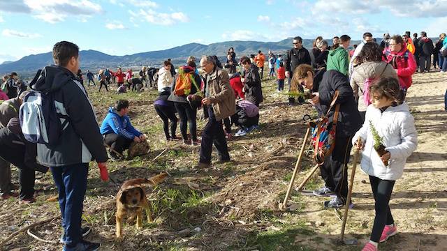 Día del árbol Elda 2017