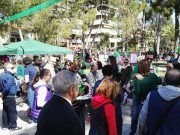 Más de dos mil personas pasaron por Castelar el sábado por la mañana para celebrar St. Patrick