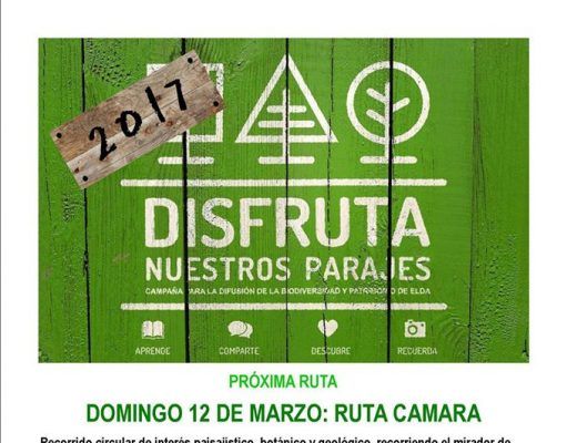 Disfruta de Nuestros Parajes – Ruta Camara el 12 de Marzo – Medio Ambiente Elda