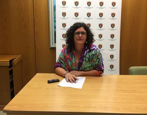 El Consejo Escolar Municipal de Petrer pide la reducción de ratio