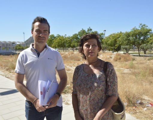 La concejalía de Medio Ambiente insta a los dueños de solares a realizar la limpieza de los mismos