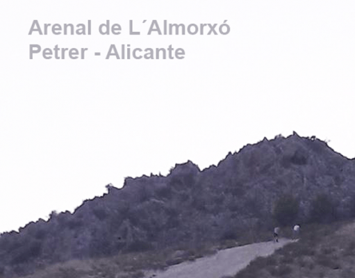 Foto denuncia del PARAJE NATURAL MUNICIPAL ARENAL DE L’ALMORXÓ DE PETRER