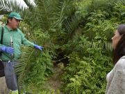 Sanidad y Mantenimiento inician un plan de choque para acabar con la presencia de roedores en la zona de Huerta Nueva