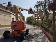 El Ayuntamiento contrata a una empresa especializada para sanear los árboles de Novo Hamburgo que alcanzan los 15 metros de altura