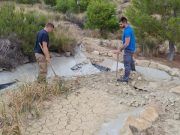 La brigada municipal de Medio Ambiente se pone en marcha con la mejora de la pinada del Trinitario