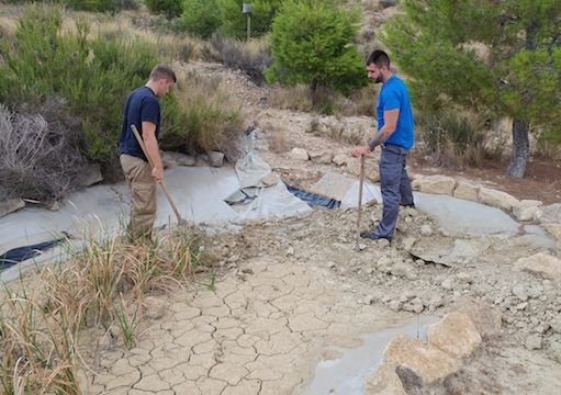 La brigada municipal de Medio Ambiente se pone en marcha con la mejora de la pinada del Trinitario