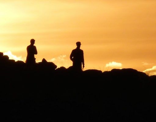 El Ayuntamiento de Elda recibe una subvención para actividades de prevención de incendios forestales