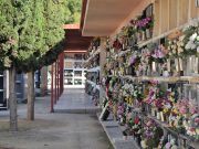 Petrer, preparado para que sus vecinos y vecinas homenajeen a sus difuntos