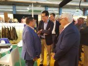 Arranca FUTURMODA con la presencia de 500 firmas, de las cuales 44 son eldenses