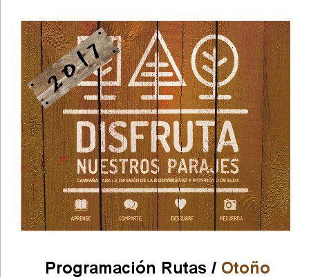Continúan las rutas de la campaña Disfruta Nuestros Parajes, hasta el 3 de diciembre