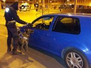 La Brigada Canina, gracias a «Lobo», levanta 5 actas por tenencia de droga en Elda Lobo perro policía Elda