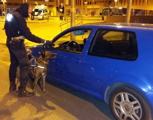 La Brigada Canina, gracias a «Lobo», levanta 5 actas por tenencia de droga en Elda Lobo perro policía Elda