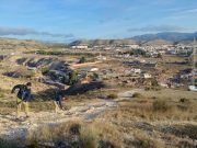 Puesta a punto de la Senda de los Reyes Magos en Elda