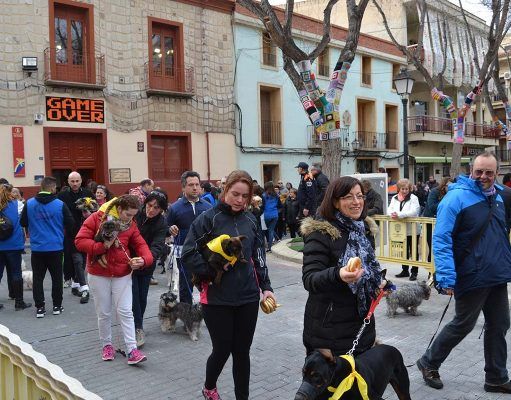 Este domingo 4-2-18 Petrer celebra la Romería de San Antón