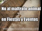 Bienestar animal – Rechazada la Propuesta de Compromís Elda en el Consejo Sectorial de Fiestas