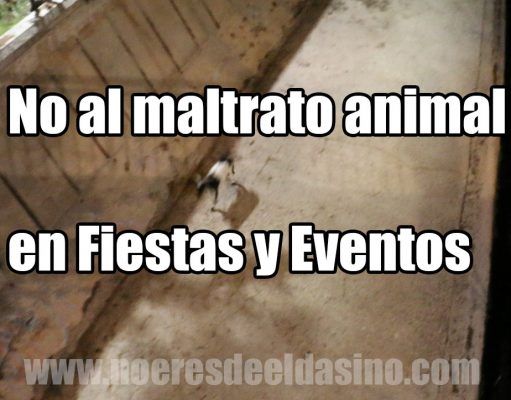 Bienestar animal – Rechazada la Propuesta de Compromís Elda en el Consejo Sectorial de Fiestas