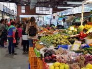 400 escolares en Mercacoles organizado por la concejalía de Comercio de Elda