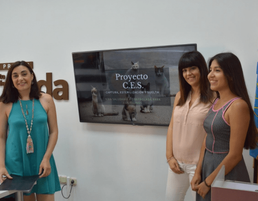 Ayuntamiento y asociación Gatitos en Apuros inician el proyecto CES en colonias de felinos Noticias Elda - CES Elda - Gatitos en apuros