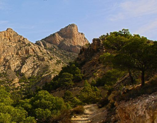 Petrer acogerá el desafío de recorrer 80 km y 17 cumbres en 24 horas en 2019