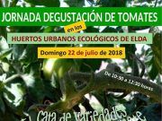 La concejalía de Agricultura de Elda, organiza una degustación y cata de variedades tradicionales de tomates en los Huertos Ecológicos Municipales