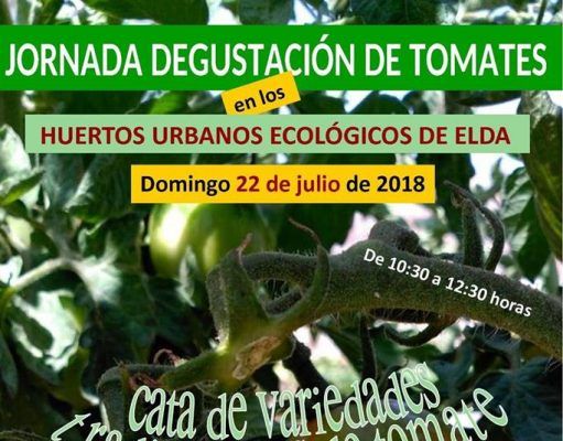 La concejalía de Agricultura de Elda, organiza una degustación y cata de variedades tradicionales de tomates en los Huertos Ecológicos Municipales