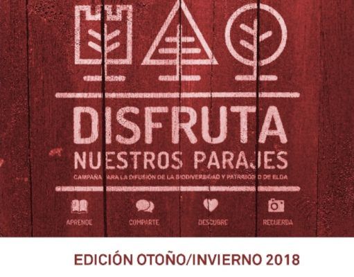 Medio Ambiente programa diez rutas hasta final de año dentro de la campaña “Disfruta nuestros parajes”