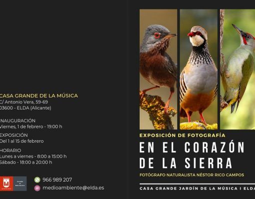 Exposición fotográfica ‘En el corazón de la sierra’ – Néstor Rico Campos (Fotógrafo) – La fauna comarcal invade el Jardín de la Música de Elda