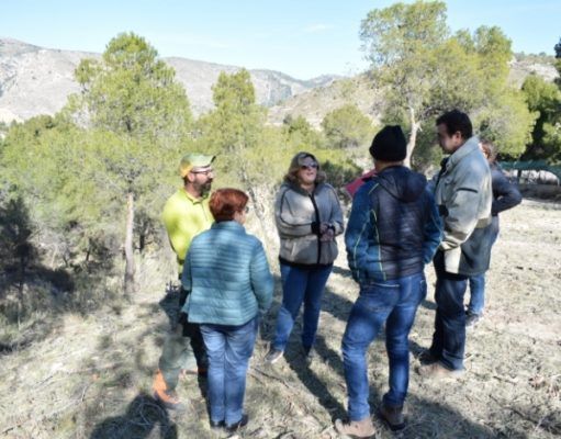 Concluyen los trabajos de Prevención de Incendios en la Almadrava – Petrer