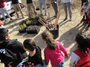 Cerca de 500 alumnos de Elda ayudan a reforestar la antigua escombrera de Bolón Reforestación Bolón Elda