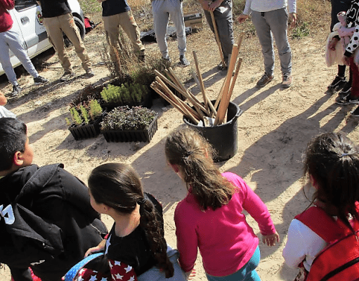 Cerca de 500 alumnos de Elda ayudan a reforestar la antigua escombrera de Bolón Reforestación Bolón Elda
