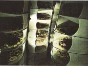 La Policía Local de Elda desmantela un gran secadero de marihuana en un chalé del barrio Ciudad Vergel noticias Elda