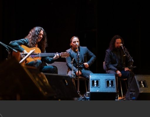 Más de 5.000 espectadores asisten a los conciertos del 22 Festival Internacional de Guitarra de Petrer