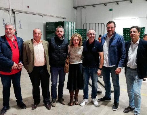 Ciudadanos lamenta que el decreto de la DANA «no llegará a muchos agricultores porque no han podido pagar el seguro» La diputada de Ciudadanos (Cs) y candidata al Congreso, Marta Martín