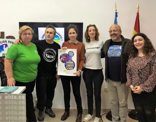 Recogida de alimentos, productos infantiles y de higiene para refugiados sirios | Concejalía de Solidaridad Elda