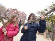 La concejalía de Medio Ambiente de Petrer, hace recomendaciones para la recolección de esparto para las fallas de la noche de Reyes Fallas Petrer - Esparto