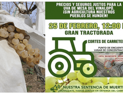 El campo alicantino se moviliza este martes 25 de febrero con una tractorada Gran tractorada Alicante