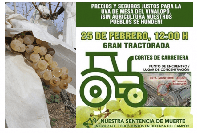 Gran tractorada Alicante