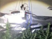 La Policía Local de Elda desmantela un invernadero con 200 plantas de marihuana en un cuarto piso Plantación marihuana Elda